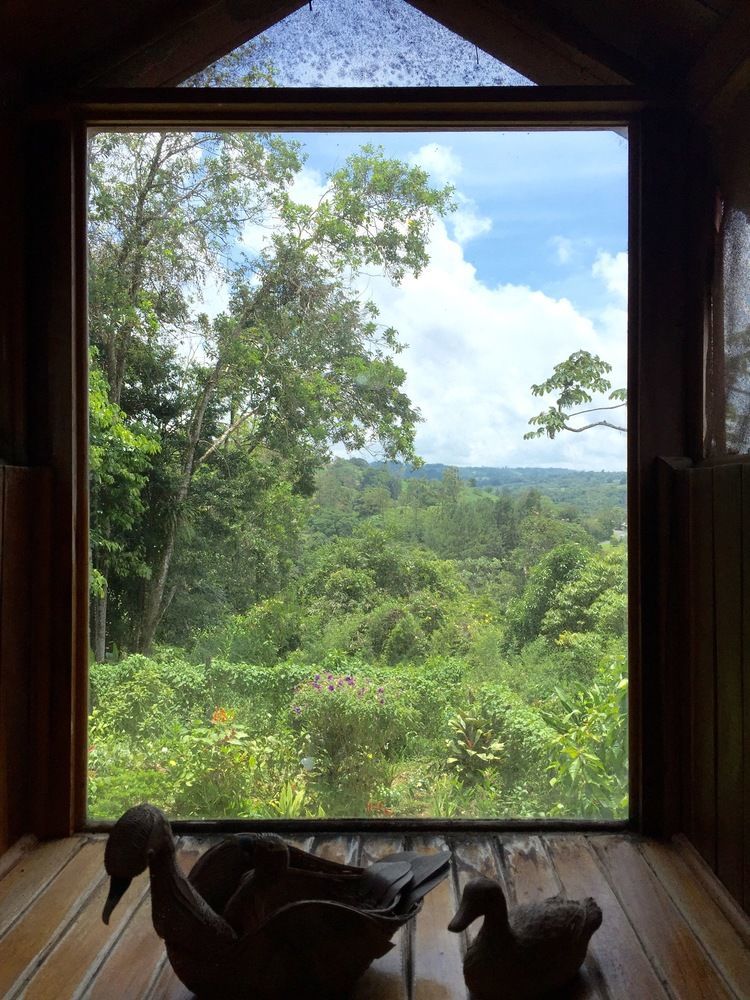 Chalet Nicholas Bed & Breakfast Nuevo Arenal Exterior photo
